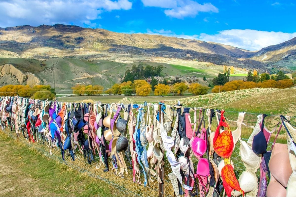 Cardrona Bra Fence, New Zealand