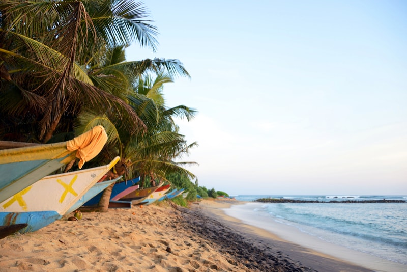Mirissa Tropical Beach - Places to Visit in Sri Lanka