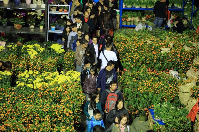 Flowers Market - Cose da fare a Hong Kong