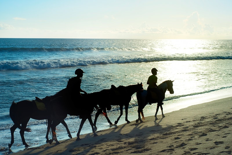 Reiten in Canggu - Unterhaltsame Aktivitäten in Bali