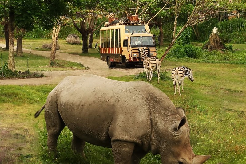 Marine and Safari Park - Cose da fare a Bali