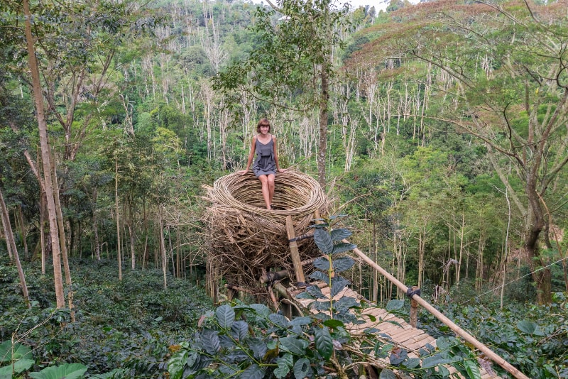 Nid Bali - Choses à faire à Bali