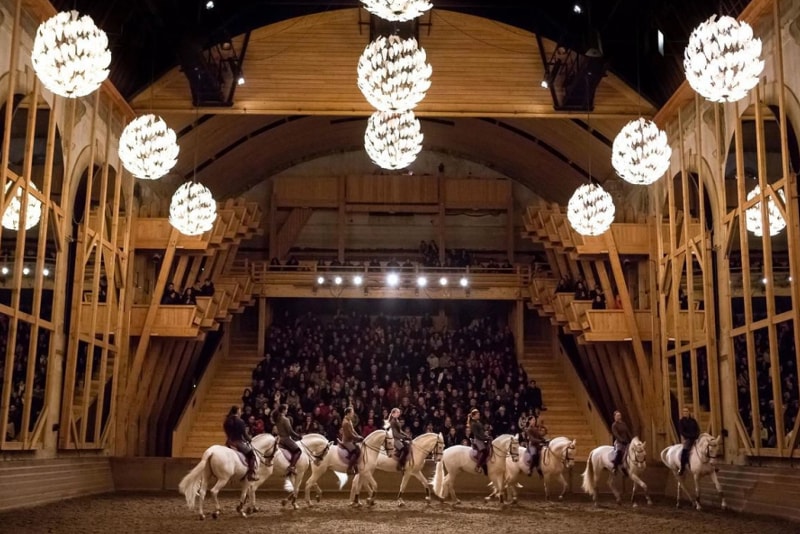 Equestrian show Versailles tickets