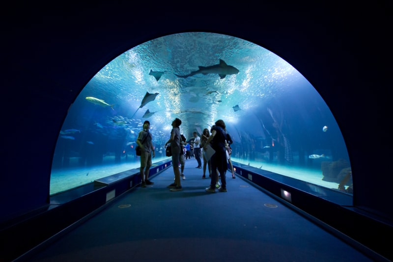 Acuario Oceanografic de Valencia