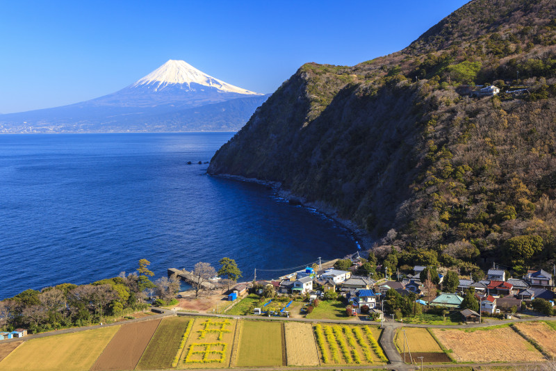 Suruga day trips from Tokyo