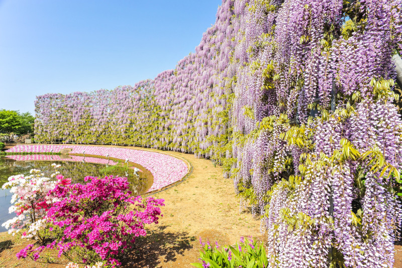 Ashikaga escursioni da Tokyo