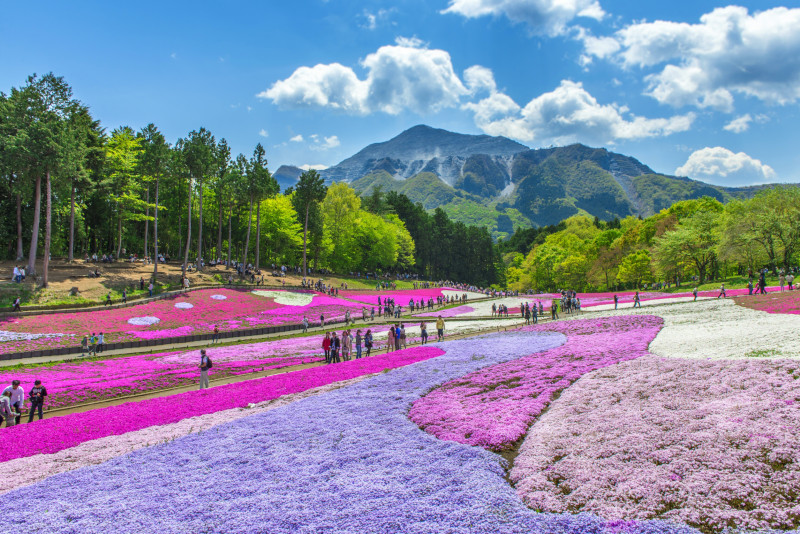 Chichibu escursioni da Tokyo