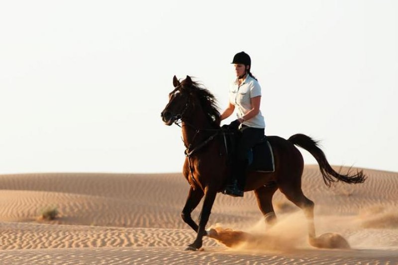 Horse riding safari in Dubai desert