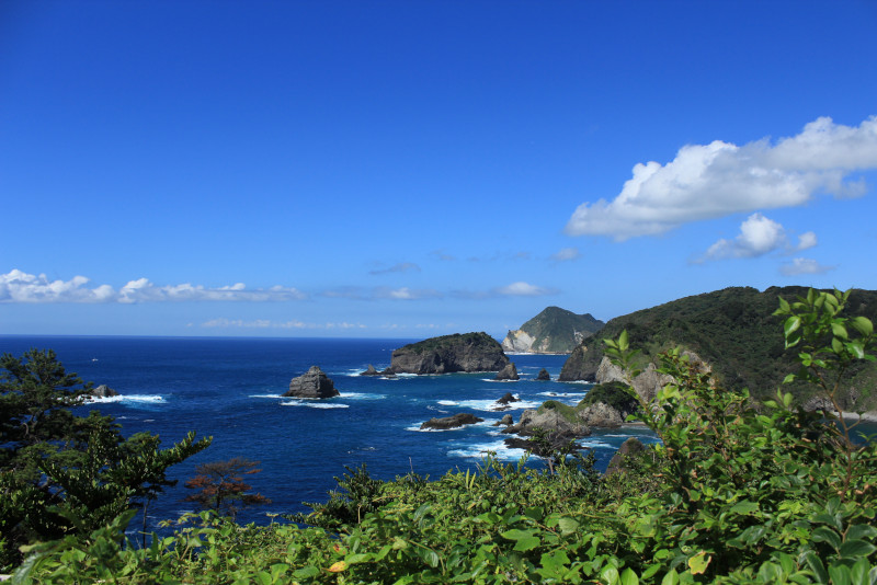 Izu Õ-shima escursioni da Tokyo