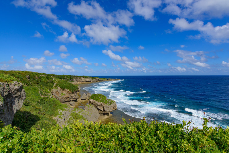 Jogashima escursioni da Tokyo