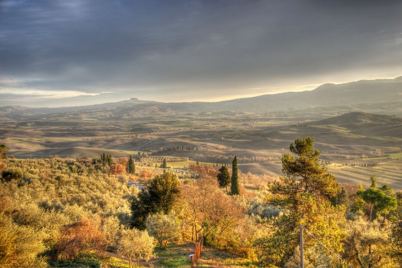 Pienza - tour degustazione vini Toscana