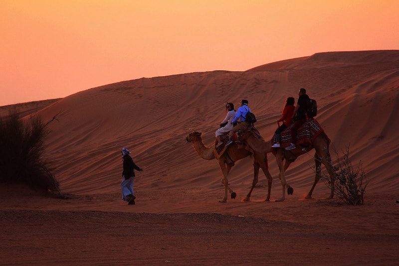 Sunset camel safari in Dubai desert