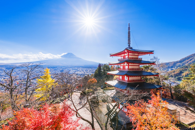 Yamanashi escursioni da Tokyo