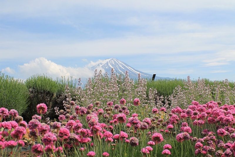 Hakone-Nationalpark