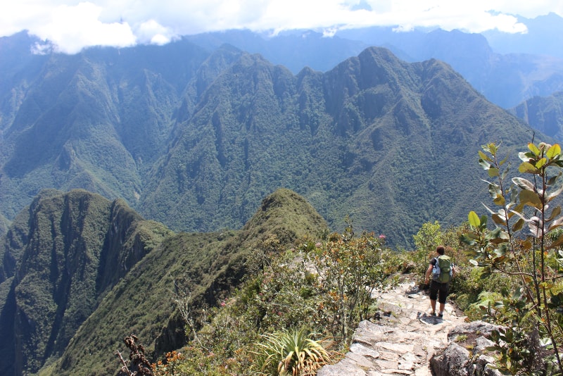 Machu Picchu trekking trail