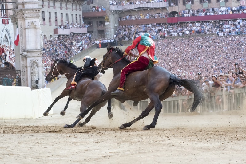 Siena - horse racing
