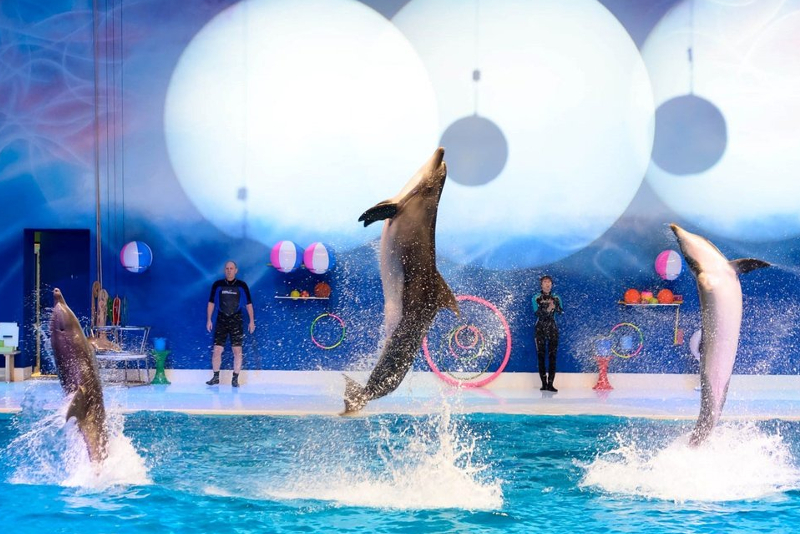 Dubai Dolphinarium