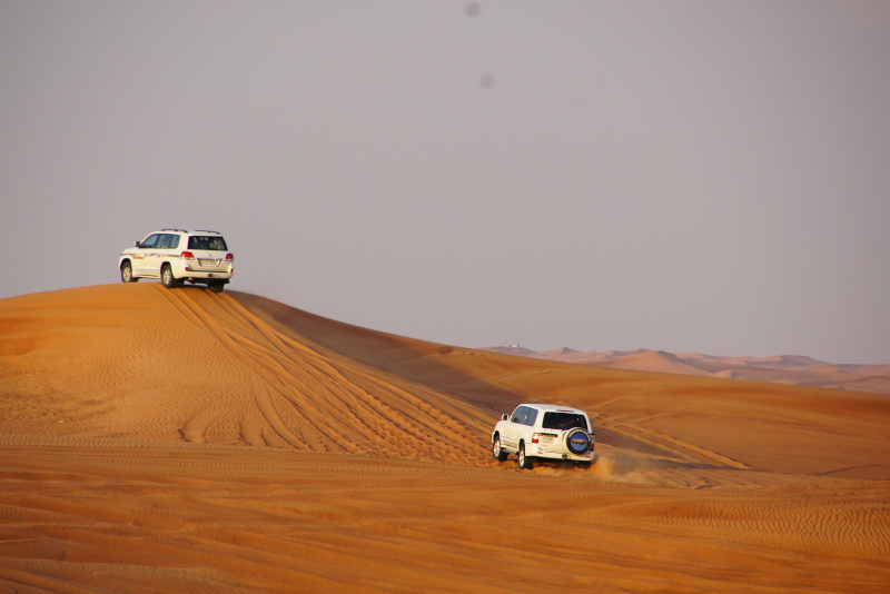 Safari privado no deserto de Doha