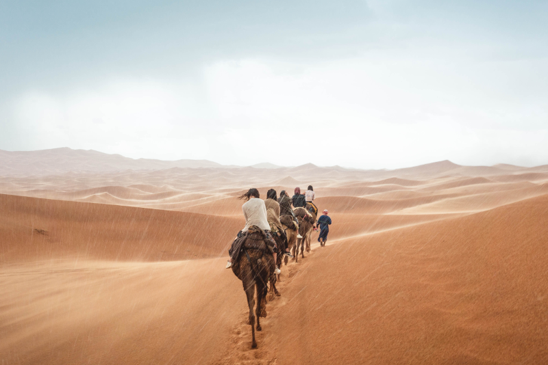 Camel riding in Doha desert