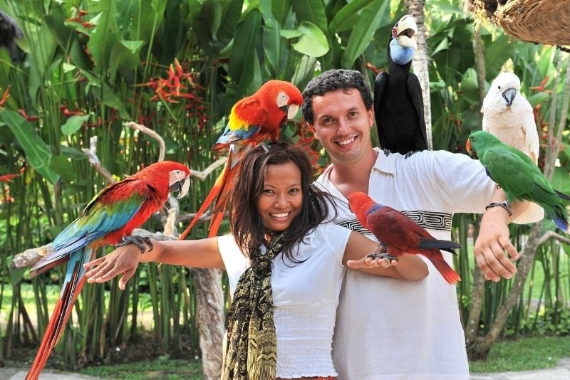 Bali Bird Park, Bali, Indonesia - #17 best places to visit in South Bali