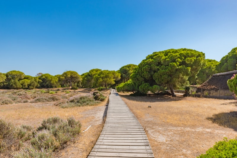 Parque Nacional de Doñana - Excursión de un día a Sevilla.