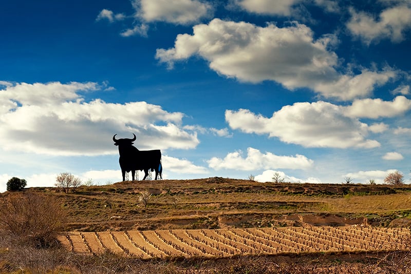 Signo de toro de Osborne