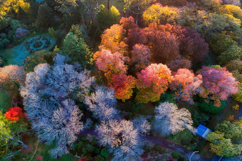 Breenhold jardines excursiones de un día desde Sydney