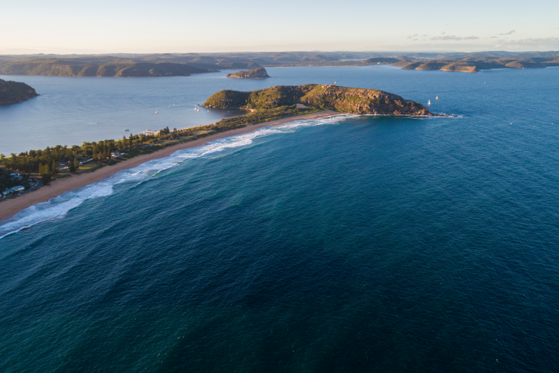 Tagesausflüge nach Palm Beach ab Sydney