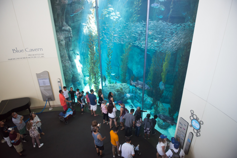 Aquarium of the Pacific # 24 parcs d'attractions en Californie