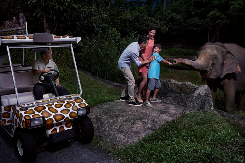 Night Safari - N ° 8 des meilleurs parcs d'attractions à Singapour