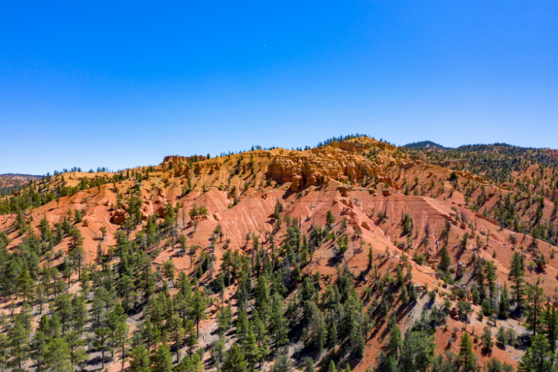 Escursioni di un giorno alla Dixie National Forest da Las Vegas