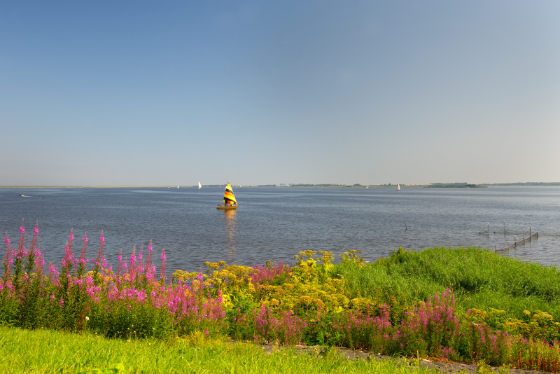 Lauwersmeer day trips from Amsterdam