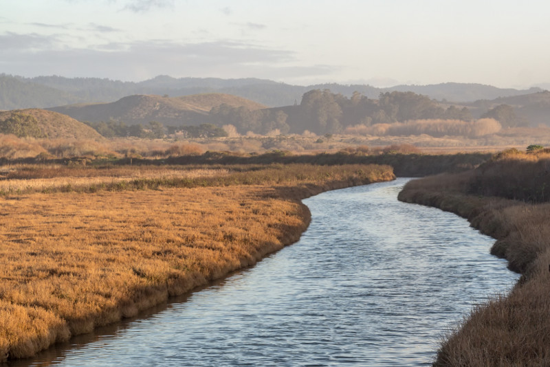 Pescadero Marsh Nature Reserve day trips from San Francisco