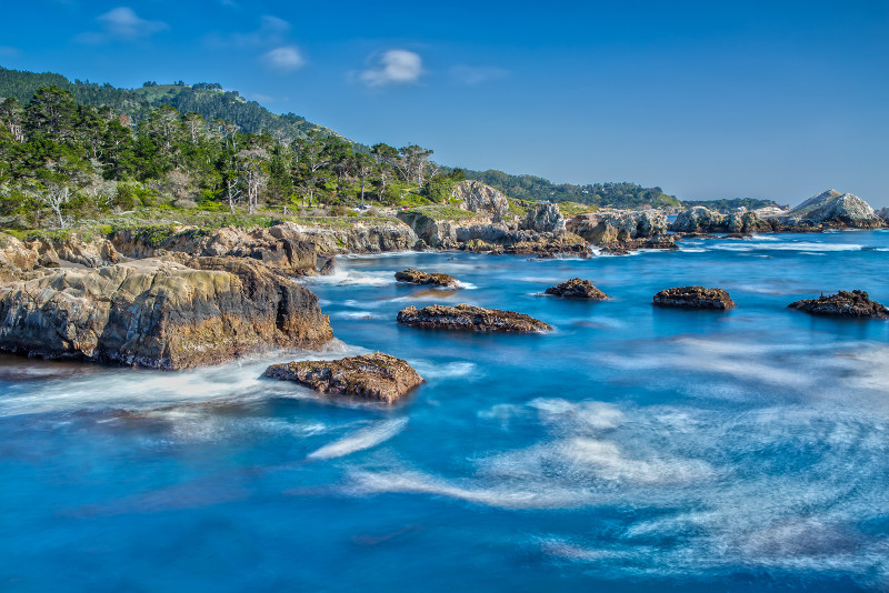 Point Lobos State Natural Reserve day trips from San Francisco