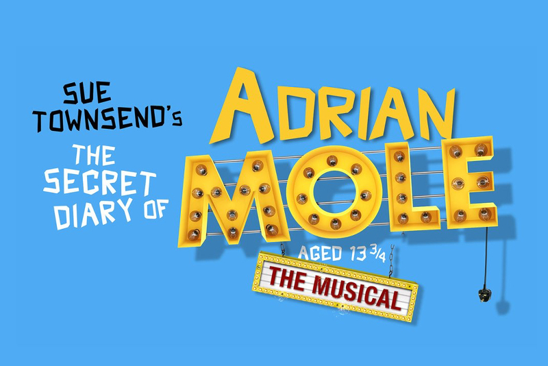 The Secret Diary of Adrian Mole aged 13 3/4 - Meilleures Comédies Musicales à voir à Londres en 2019/2020