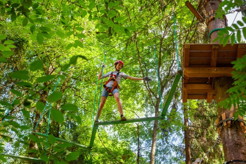 Treetop Challenge - #12 Gold Coast theme parks