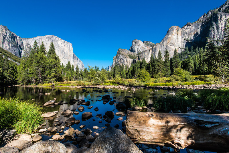 Yosemite National Park day trips from San Francisco