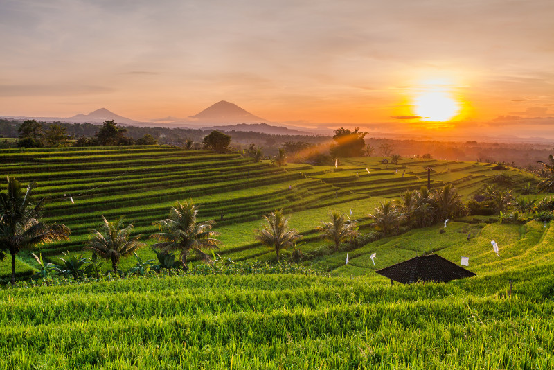 Bali Sacred Temples and Sunset Private Tour