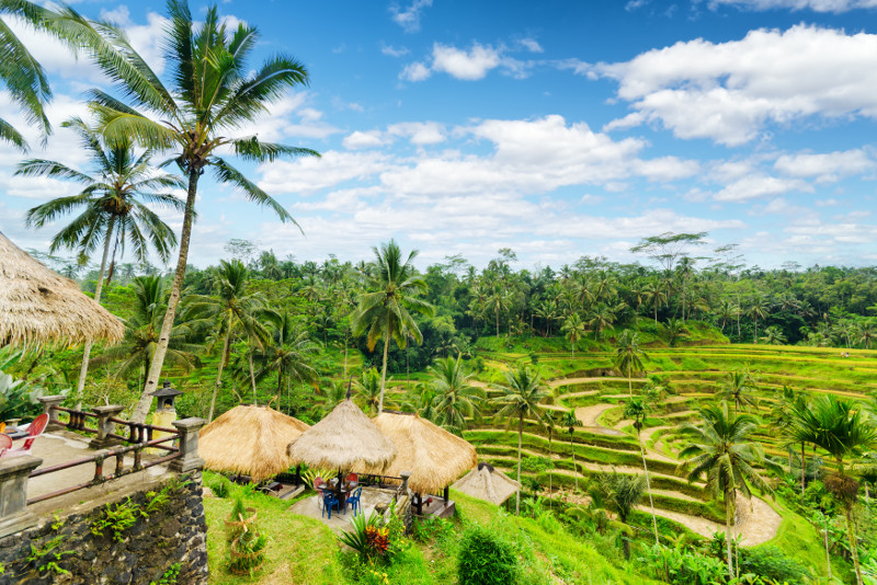 Carang Sari Village Cycling