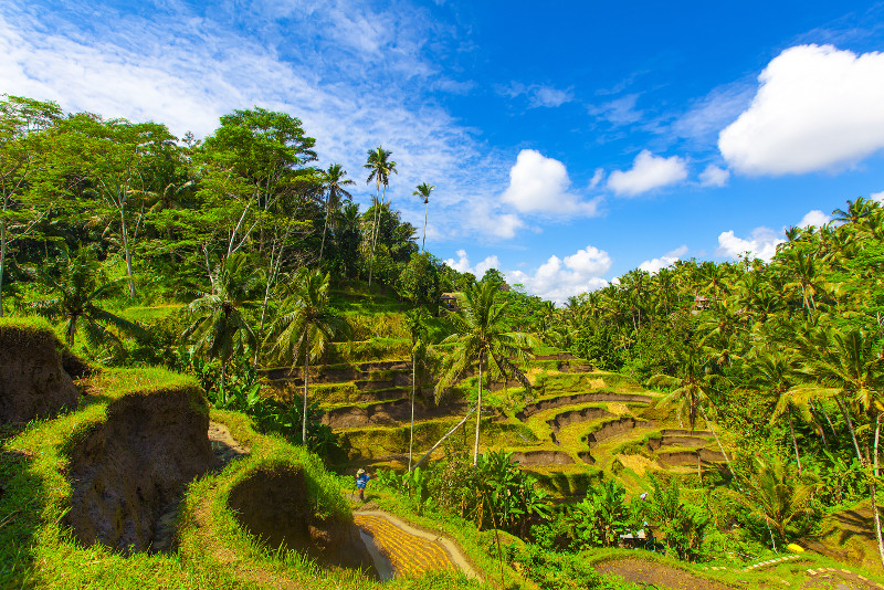 Ganztägiger traditioneller Stadtrundgang durch Bali mit Mittagessen