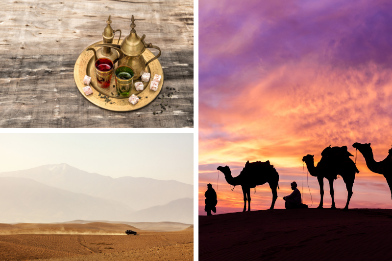 Desierto Sunset Camel Ride con té gratis en The Desert Camp