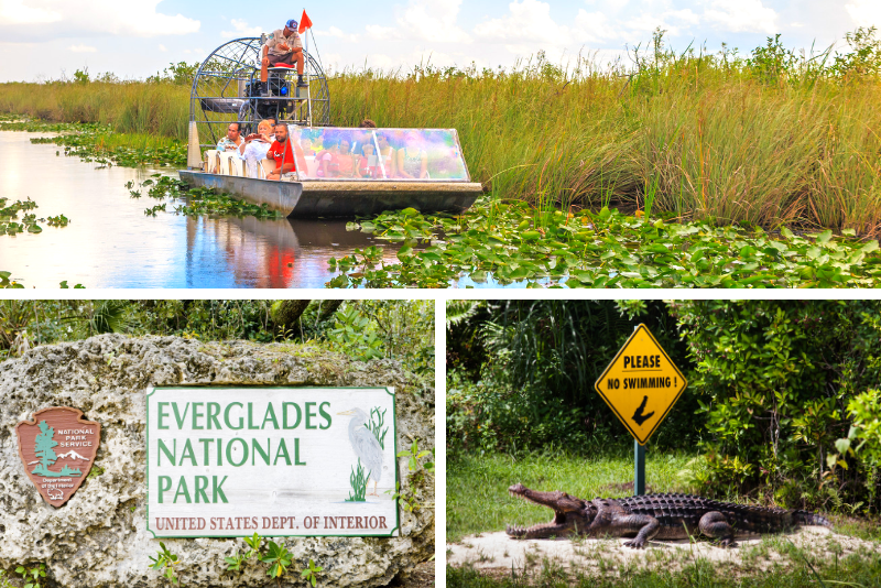 Everglades National Park Airboat Tour und Wildlife Show
