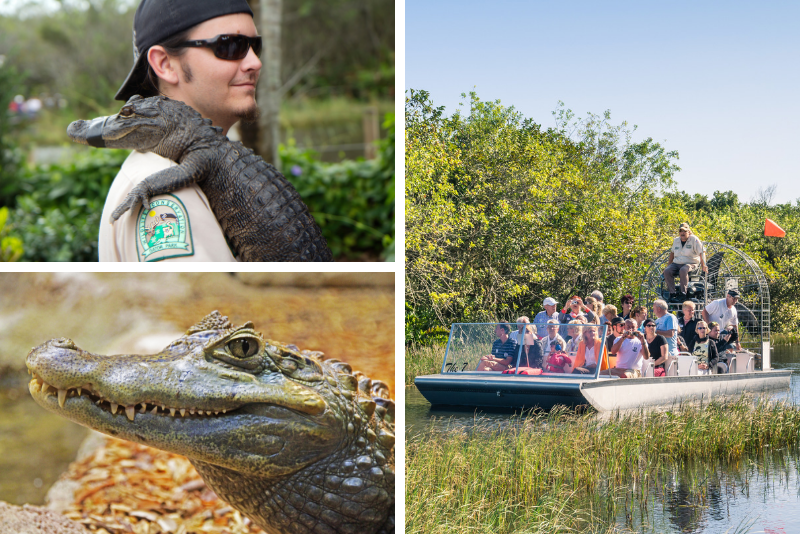 Excursion en hydroglisseur dans les Everglades en Floride et aventure dans le Gatorland