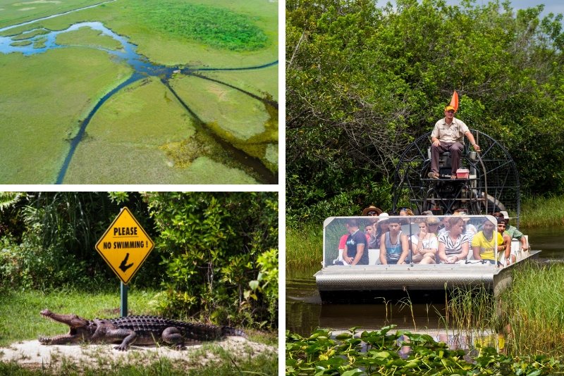 Kissimmee: visite d'une heure en hydroglisseur dans les Everglades en hydroglisseur