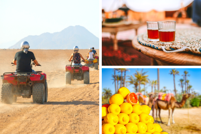 Marrakech: recorrido de medio día por el desierto y el dromedario