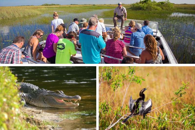 Orlando: Wilder Florida Everglades Airboat & Wildlife Park