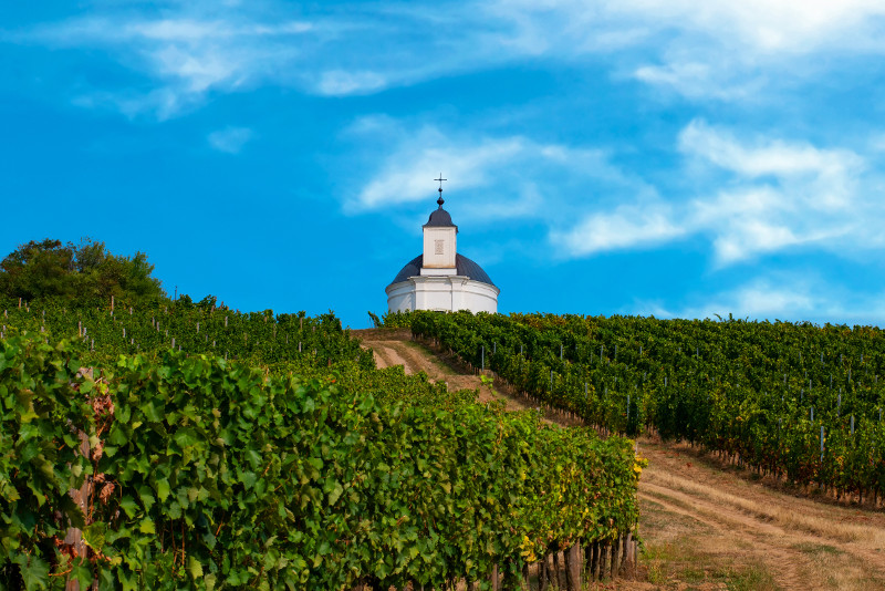 Tokaj day trips from Budapest