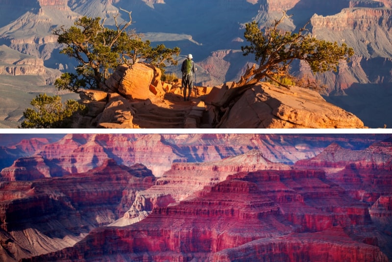Ultimativer Grand Canyon Tagesausflug von Flagstaff oder Sedona