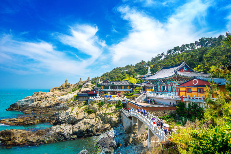 Busan day trips from Seoul