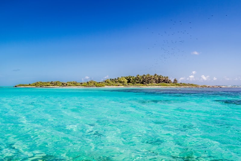 Isla Contoy - Excursions à Cancun